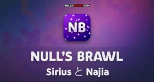 Null’s Brawl 66.263 — Sirius と Najia